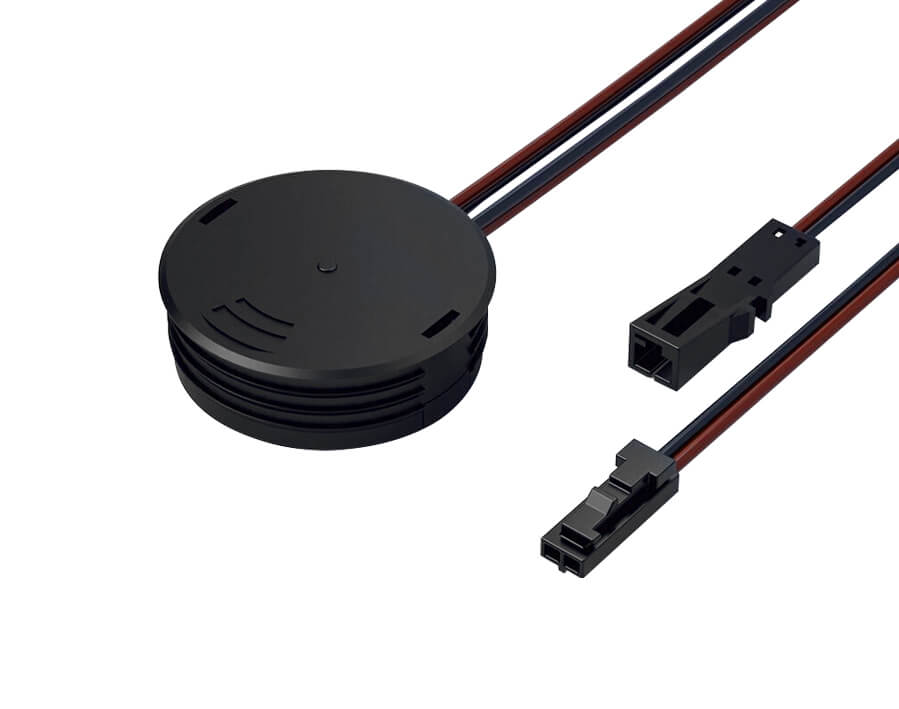 Interruttore magnetico 